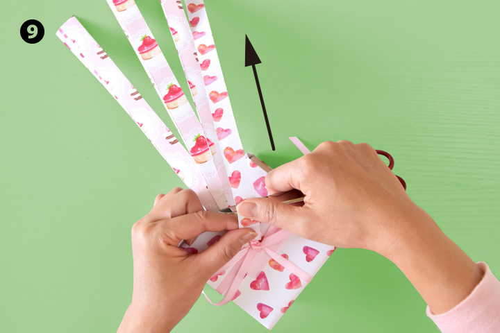 Paper Ribons Epson Setup Navi | Gallery